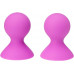 Dream toys | Стимулятори На Соски Dream Toys Lit-Up Nipple Suckers Large Pink. Ціна 650 грн. Фото: 1