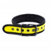 DS Fetish | Ошейник из неопрена DS Fetish Collar neoprene yellow. Цена 450 грн. Фото: 1
