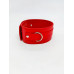 DS Fetish | Ошейник с поводком DS Fetish Collar with leash red metal. Ціна 700 грн. Фото: 1
