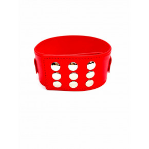 DS Fetish | Ошейник с поводком DS Fetish Collar with leash red metal. Цена: 700 грн