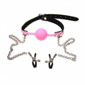 DS Fetish | Кляп с зажимами на соски DS Fetish Locking gag with nipple clamps black/pink. Цена: 1 150 грн