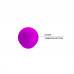 Baile | Вібратор - Pretty Love Beck Vibrator Purple. Цена 519 грн. Фото: 1