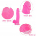 Lovetoy | Фалоімітатор з мошонкою - Jelly Studs Crystal Dildo Large 8