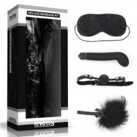 Lovetoy | Набір БДСМ - Deluxe Bondage Kit (маска, вібратор, кляп, пір'їнка). Цена 1 615 грн