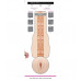 Fleshlight | Мастурбатор Fleshlight Girls: Angela White Indulge Signature Collection. Ціна 3229 грн. Фото: 2