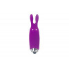 Минивибратор Adrien Lastic Pocket Vibe Rabbit Purple