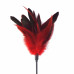 Art of Sex | Щекоталка красная Art of Sex - Feather Paddle, перо молодого петуха. Цена 169 грн. Фото: 1