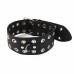 Art of Sex | Ошейник Art of Sex - Tessa, натуральная кожа, цвет черный. Цена 639 грн. Фото: 3