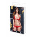 BACI | Комплект LACY BRA GARTER OPEN CROTCH PANTY 2P RED. Цена 954 грн. Фото: 2