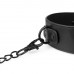 Bedroom Fantasies | Набор для BDSM Bedroom Fantasies Master & Slave Total Restraint Set. Цена 2 158 грн. Фото: 4