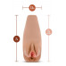 Blush Novelties | Мастурбатор в колбе M ELITE SOFT AND WET RENATA TAN. Ціна 1695 грн. Фото: 1