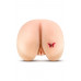 Blush Novelties | Мастурбатор ягодицы Blush X5 вагина и анус, 23 х 27 см. Ціна 5990 грн. Фото: 1