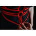 Chisa Novelties | Веревка для бондажа или шибари Chisa Behave Luxury Fetish, красный, 10 м. Цена 450 грн. Фото: 1