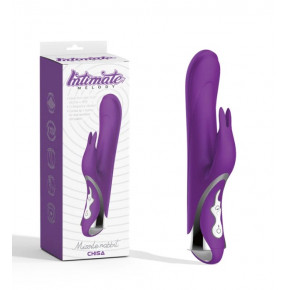 Chisa Novelties | Вибратор-кролик Chisa Missile Rabbit Purple. Ціна: 2750 грн
