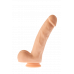 Dream toys | Гибкий фаллоимитатор DREAM TOYS MR. DIXX MAGIC MILO 8.3INCH DILDO. Цена 1 352 грн. Фото: 1