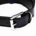 DS Fetish | Ошейник  Leather lackered, Black. Цена 815 грн. Фото: 2