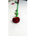 DS Fetish | Стек роза Kid Grain Leather Rose Crop With Calf Leather Rose. Ціна 2200 грн. Фото: 1