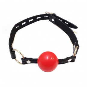 DS Fetish | Кляп шарик DS Fetish, силикон. Цена: 895 грн