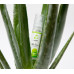 EasyToys | Лубрикант на водной основе EasyGlide Aloe Vera, 30 мл. Цена 450 грн. Фото: 3
