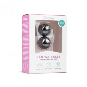 EasyToys | Вагинальные шарики Magnetic balls, 25 мм. Ціна: 995 грн