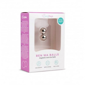 EasyToys | Вагинальные шарики Magnetic balls, 12 мм. Ціна: 575 грн
