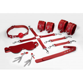 Feral Feelings | Набор Feral Feelings BDSM Kit 7 Red, наручники, поножи, коннектор, маска, паддл, кляп, зажимы. Цена: 3 799 грн