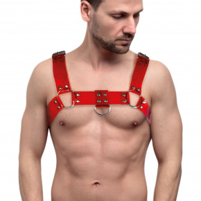 Feral Feelings | Мужская портупея на грудь Feral Feelings - Bulldog Harness Red Trasparent. Ціна: 1138 грн