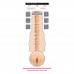 Fleshlight | Мастурбатор Fleshlight Girls Gina Valentina Stellar. Ціна 3799 грн. Фото: 7
