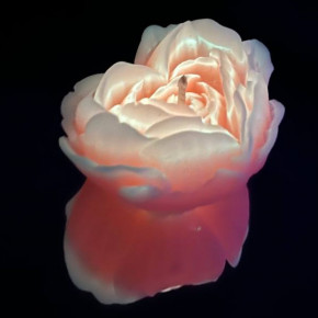 GlowKink | Свеча люминисцентная низкотемпературная GlowKink оранжевая, М. Ціна: 395 грн