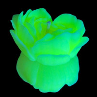 GlowKink | Свеча люминисцентная низкотемпературная GlowKink салатовая, L. Цена 470 грн GlowKink | Свеча люминисцентная низкотемпературная GlowKink салатовая, L. Цена 470 грн