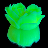 GlowKink | Свеча люминисцентная низкотемпературная GlowKink салатовая, M. Цена 395 грн