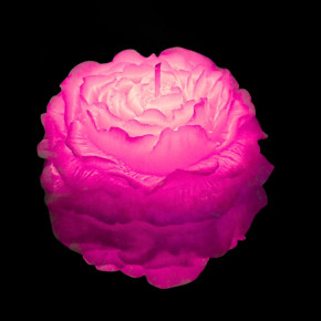 GlowKink | Свеча пион люминесцентный GlowKink низкотемпературная, розовая, L. Цена: 420 грн