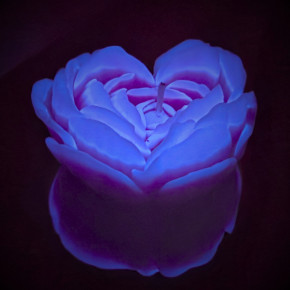 GlowKink | Свеча низкотемпературная люминесцентная GlowKink фиолетовая, L. Цена: 495 грн