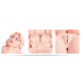 Kokos | Мастурбатор Kokos Victoria Whole Body. Цена 10 490 грн. Фото: 6