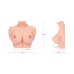 Kokos | Мастурбатор-грудь Kokos Bouncing Titties C cup. Цена 3 650 грн. Фото: 5