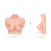 Kokos | Мастурбатор-грудь Kokos Bouncing Titties F. Ціна 5199 грн. Фото: 2