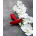 Loveshop | Анальная пробка Loveshop anal plug L RED 9.5 см *2.9 см. Цена 495 грн. Фото: 1