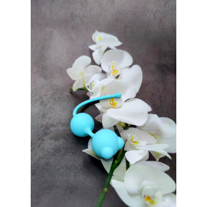 Loveshop | Вагинальные шарики Loveshop 16.5 см * 2.7 см Balls Blue. Ціна: 450 грн