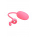 Magic Motion | Смарт-тренажер для жінок Magic Motion Kegel Coach. Ціна 2169 грн. Фото: 3