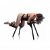 Master Series | Секс-стул Master Series Extreme Sex Bench. Цена 62 500 грн. Фото: 2
