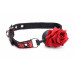 Master Series | Кляп Master Series Eye-Catching Ball Gag With Rose. Цена 1 539 грн. Фото: 1