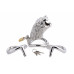 Master Series | Клетка для члена Master Series Tiger King Cock Cage With Lock. Цена 5 286 грн. Фото: 1