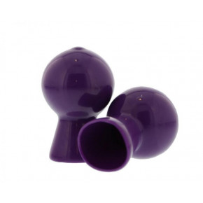 NMC | Стимулятор Для Сосків Nipple Sucker Pair In Shiny, Purple. Ціна: 440 грн