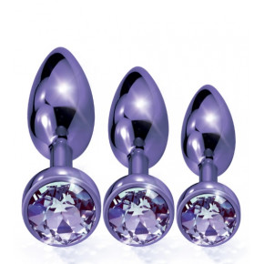NS Novelties | Набор анальных пробок Global Novelties NIXIE METAL BUTT PLUG TRAINER SET, PURPLE METALLIC. Ціна: 2950 грн