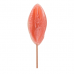 OOTB | Льодяник Sexy Lollipop Candy Pussy Strawberry, 45 г. Ціна 225 грн. Фото: 2