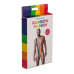 OOTB | Чоловічі стрінги Rainbow Mankini One Size. Цена 506 грн. Фото: 5