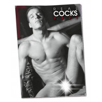 Orion | Календарь - Pin-up Kalender HC Real Cocks 2022. Цена 150 грн