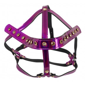 Orion | Упряжь - 2492539 Head Harness. Цена: 560 грн