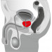 Orion | Масажер простати - Ebony Prostate Massager. Ціна 1617 грн. Фото: 3