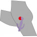Orion | Стимулятор G-точки-3 Pointer Purple. Цена 2 124 грн. Фото: 1